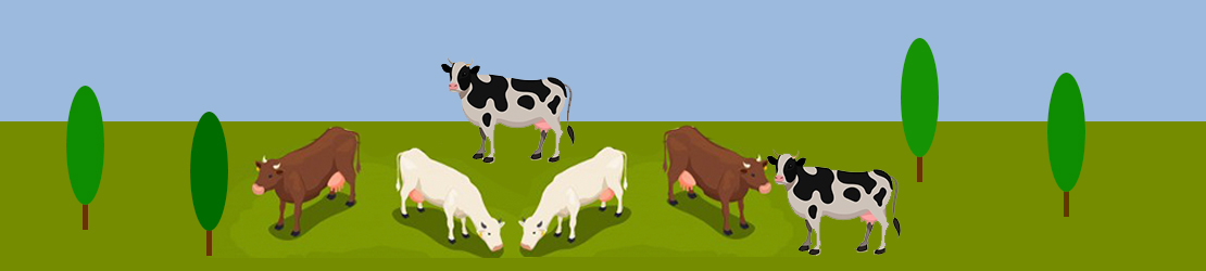 стадо коров на ферме инфографика