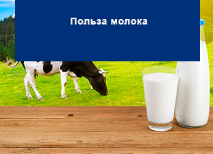 Польза молока